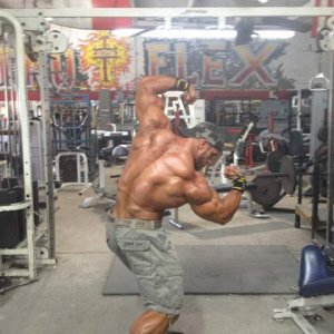 2012 Bodybuilding Images