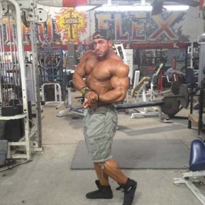 2012 Bodybuilding Images