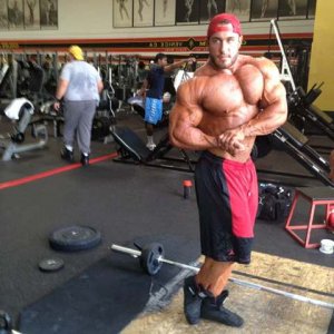 2012 Bodybuilding Images