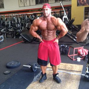 2012 Bodybuilding Images