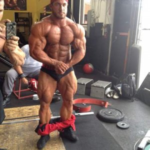 2012 Bodybuilding Images