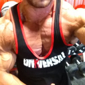 2012 Bodybuilding Images