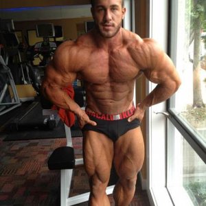 2012 Bodybuilding Images