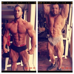 2012 Bodybuilding Images