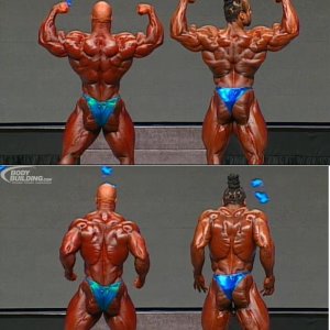 2012 Bodybuilding Images