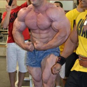 2012 Bodybuilding Images