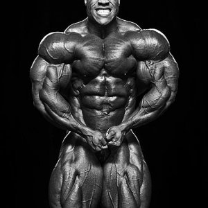 2012 Bodybuilding Images