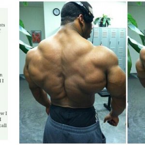 2012 Bodybuilding Images