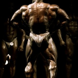 2012 Bodybuilding Images