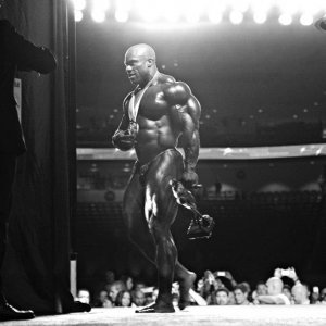 2012 Bodybuilding Images