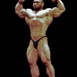 2012 Bodybuilding Images