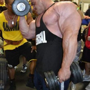 2012 Bodybuilding Images