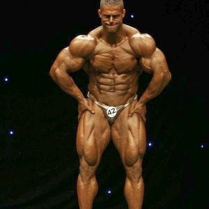 2012 Bodybuilding Images