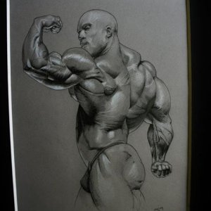 2012 Bodybuilding Images