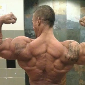 2012 Bodybuilding Images