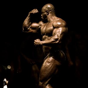 2012 Bodybuilding Images