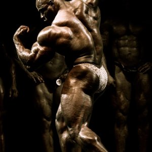 2012 Bodybuilding Images