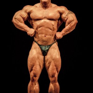 2012 Bodybuilding Images