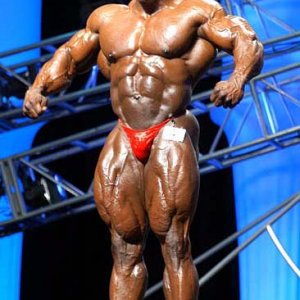 2012 Bodybuilding Images