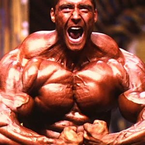 2012 Bodybuilding Images