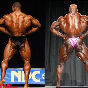 2012 Bodybuilding Images