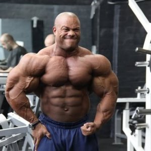 2012 Bodybuilding Images