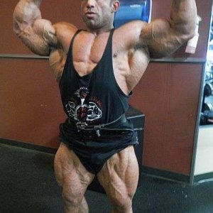 2012 Bodybuilding Images