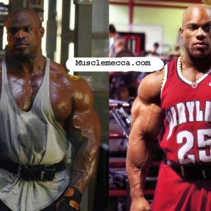 2012 Bodybuilding Images