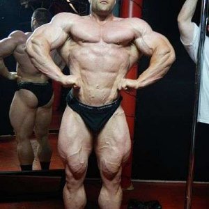 2012 Bodybuilding Images