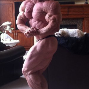 2012 Bodybuilding Images