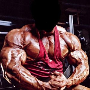 2012 Bodybuilding Images