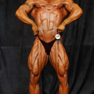 2012 Bodybuilding Images