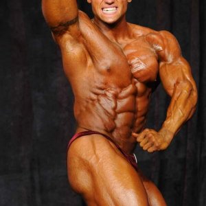 2012 Bodybuilding Images