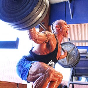 2012 Bodybuilding Images