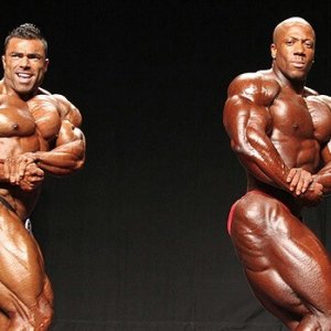 2012 Bodybuilding Images