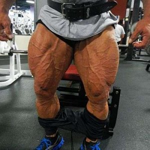 2012 Bodybuilding Images