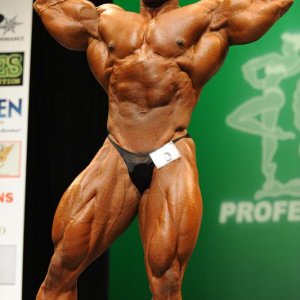 2012 Bodybuilding Images