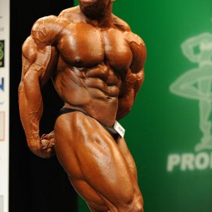 2012 Bodybuilding Images