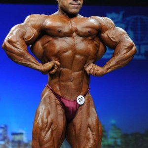 2012 Bodybuilding Images