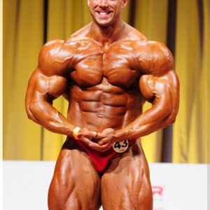 2012 Bodybuilding Images