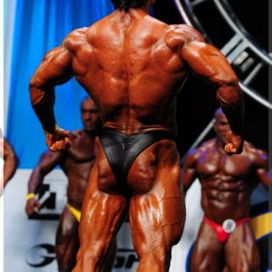 2012 Bodybuilding Images