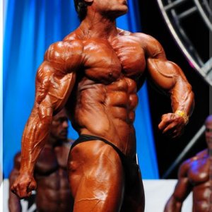 2012 Bodybuilding Images