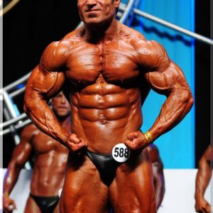 2012 Bodybuilding Images