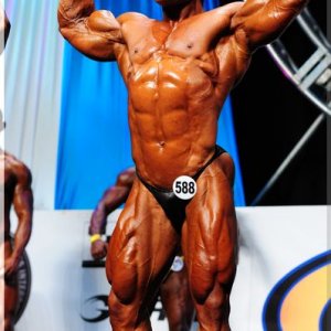 2012 Bodybuilding Images