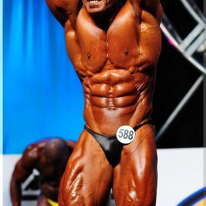 2012 Bodybuilding Images