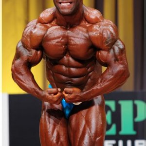 2012 Bodybuilding Images