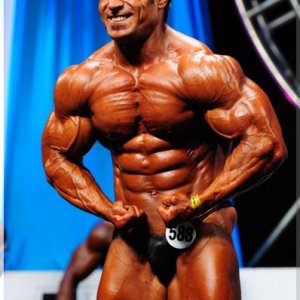 2012 Bodybuilding Images