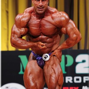 2012 Bodybuilding Images