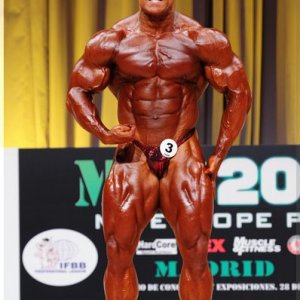 2012 Bodybuilding Images