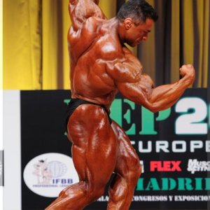 2012 Bodybuilding Images